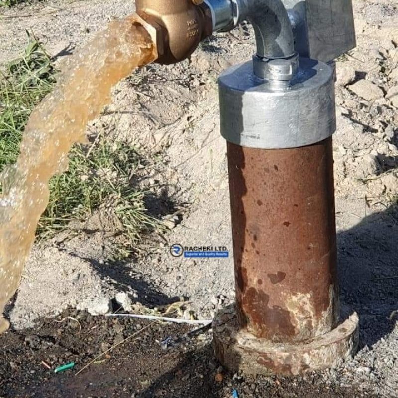 WhatsApp Image 2024-08-20 at 2.06.44 PM (1)